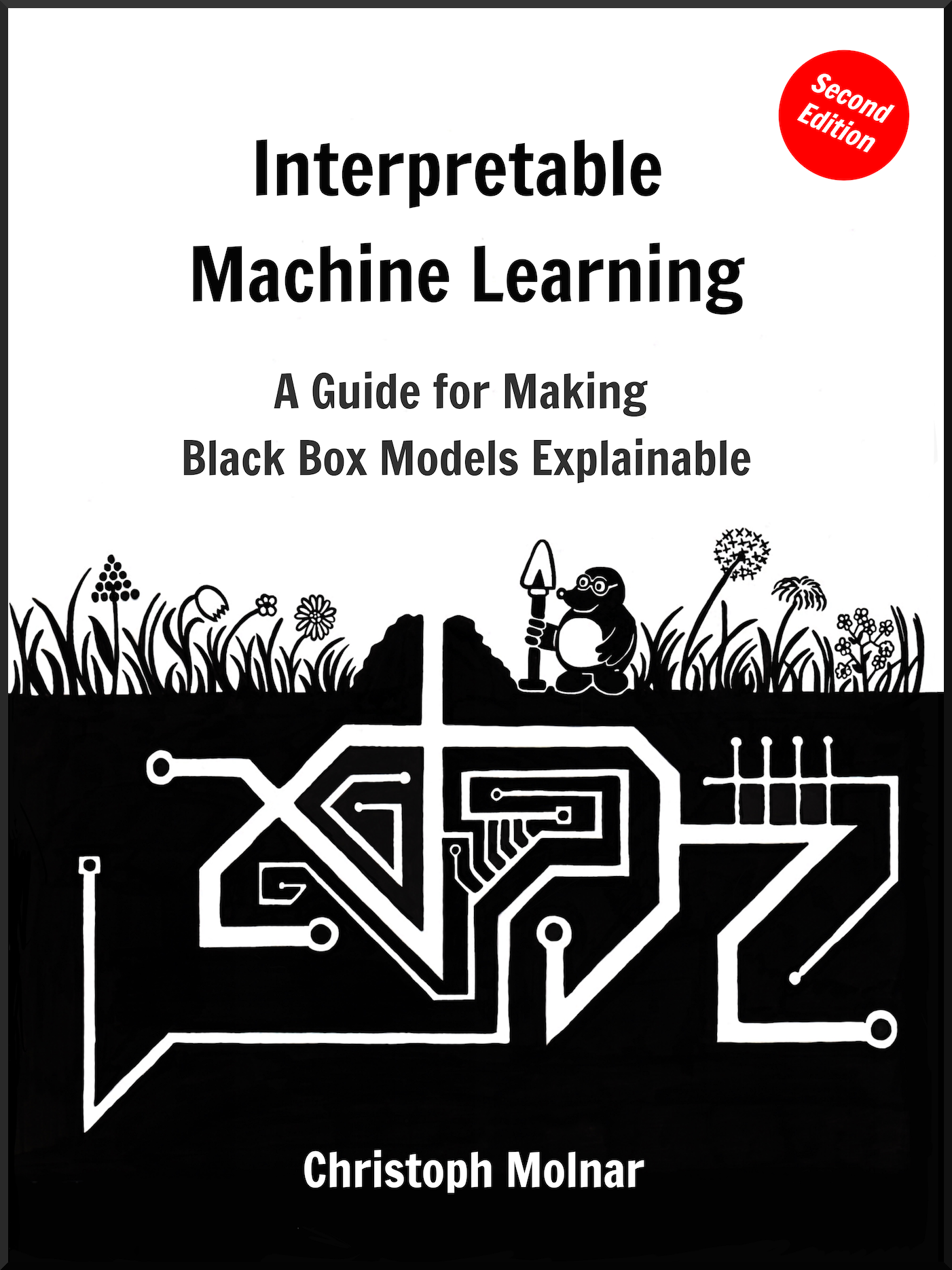Interpretable Machine Learning: Christoph Molnar